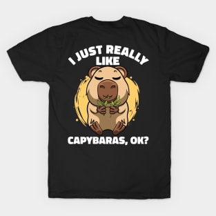 I Just Really Like Capybaras Lover Rodent Zoo Cute Capybara T-Shirt